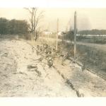 evans game farm, street scene